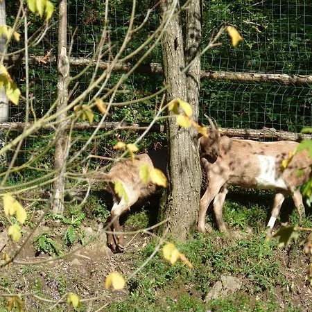 Agriturismo La Frontiera